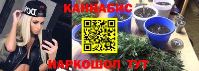 индика Гагарин