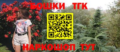 твердый Гай