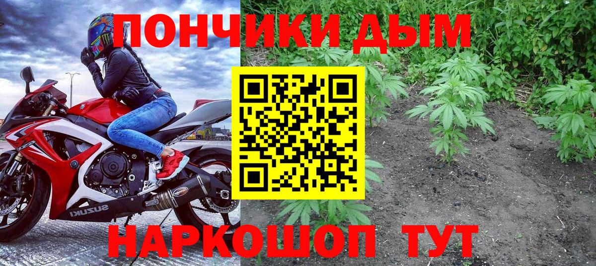 Канабис конопля Ноябрьск